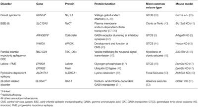 Gene Therapy: Novel Approaches to Targeting Monogenic Epilepsies